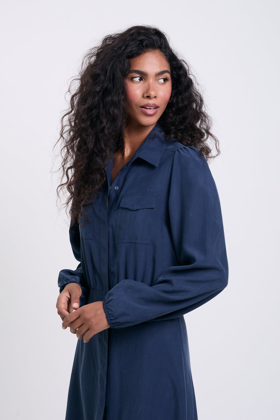Deep Twiglight Erin Dress
